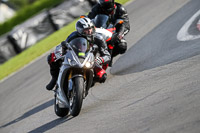 PJ-Motorsport-2019;donington-no-limits-trackday;donington-park-photographs;donington-trackday-photographs;no-limits-trackdays;peter-wileman-photography;trackday-digital-images;trackday-photos